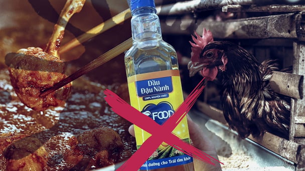 Vì sao dầu ăn đang gây hoang mang cho các bà nội trợ?