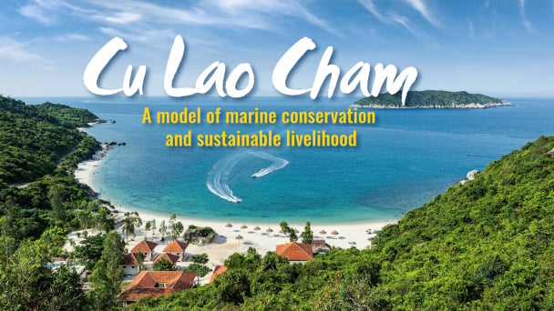 Cu Lao Cham: A model of marine conservation and sustainable livelihood