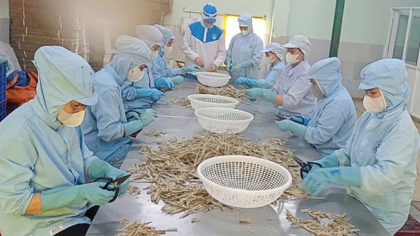 Turning seafood by-products into ‘green gold’: [2] Earning billions from seafood waste and leftovers