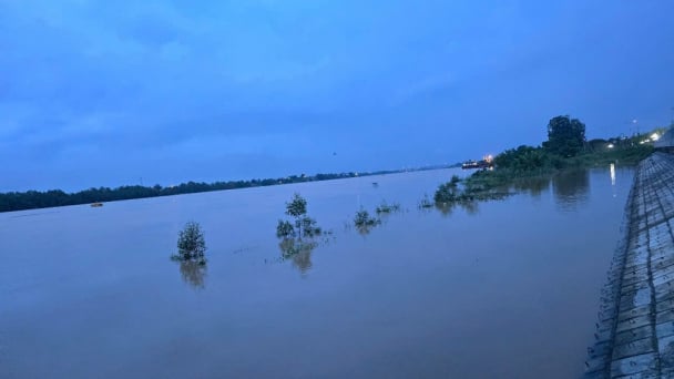 Thanh Hóa cảnh báo lũ trên sông Cầu Chày và sông Chu