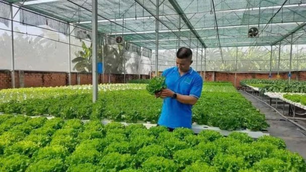 Vietnam Gardening Association advocates for indigenous VAC model at the Global Forum