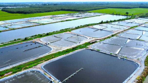 Digital technology in aquaculture: Great opportunities meets challenges