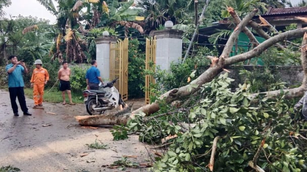 Lốc xoáy gây thiệt hại nhiều nhà dân