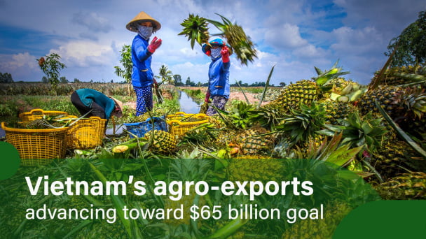 Fruit and vegetable exports on track for $8 billion target