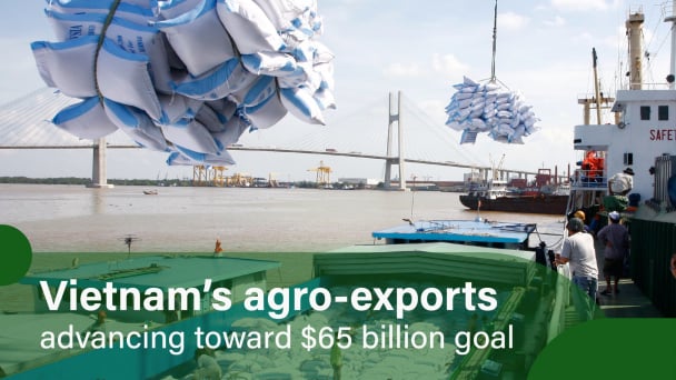 Vietnam surpasses Thailand in rice export volume
