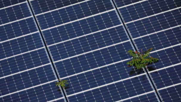 USDA ends programs for solar, wind projects on farms
