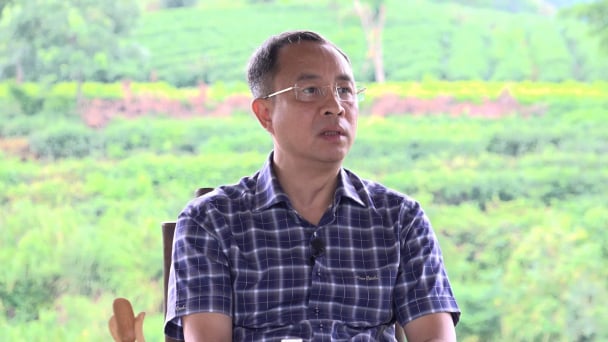 Hành trình làm chè hữu cơ của ông chủ thương hiệu trà Cozy