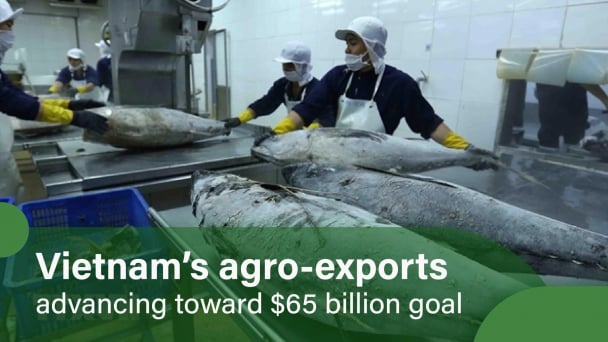 Local enterprises urge to amend decree on tuna fisheries