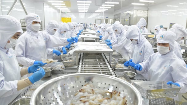 Thủy sản Việt trước ngưỡng cửa EU khắt khe: [Bài 1] Tiềm năng lớn nhưng thị phần nhỏ