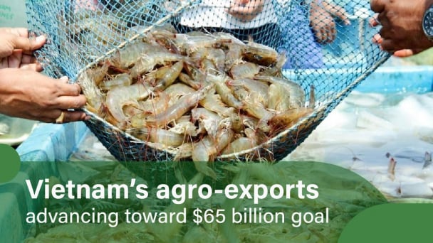 Value-added shrimp products create market advantage for exports