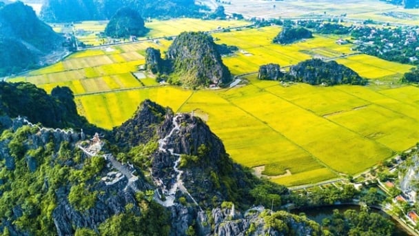 Ninh Binh welcomes Asia’s premier organic farming event