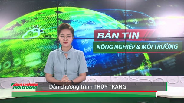 Bản tin Truyền hình Nông nghiệp và Môi trường số 37/2025 (số 424)