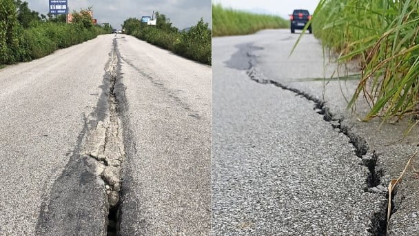 Gia cố tuyến đê tả Hoàng Long chằng chịt vết lún, nứt