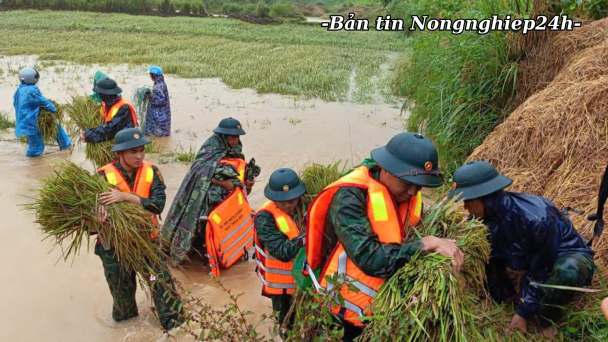Khắc phục hậu quả, khôi phục hoạt động thiết yếu ngay sau thiên tai