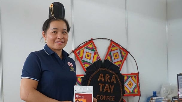 Những bàn tay đánh thức hạt cà phê ngủ quên