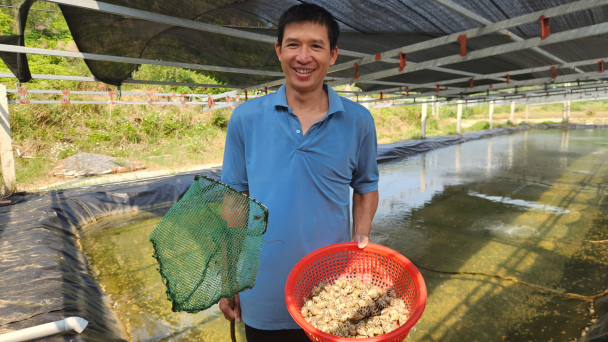 Nuôi ốc hương trên đảo Thanh Lân
