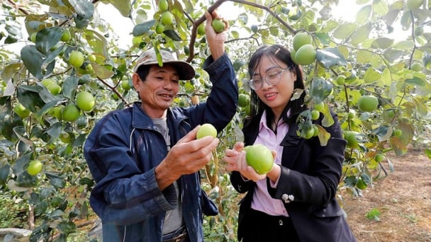 Phát huy nguồn vốn chính sách thúc đẩy giảm nghèo đa chiều