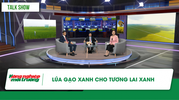 Lúa gạo xanh cho tương lai xanh