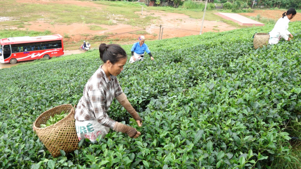Nâng cao hiệu quả giảm nghèo từ đổi mới truyền thông và tiếp cận thông tin
