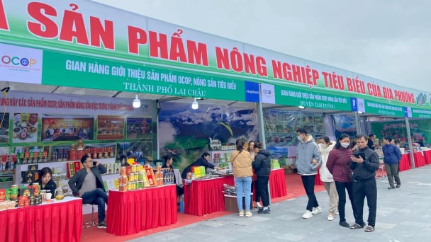 Lai Châu xây dựng sản phẩm OCOP gắn với sản xuất hàng hóa