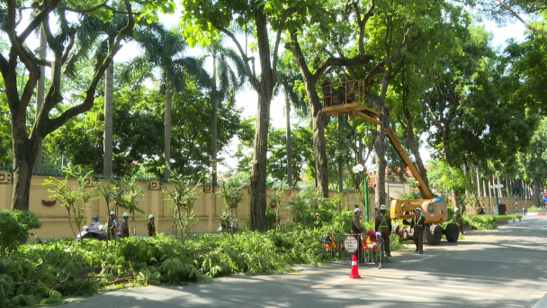 Hà Nội cắt tỉa cây xanh, chỉnh trang cảnh quan chào mừng 80 năm đất nước