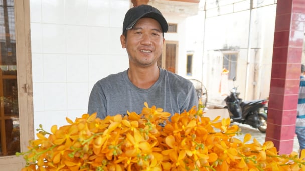 Xây dựng nông thôn mới thông minh, hạnh phúc - hướng đi chiến lược cho TP.HCM