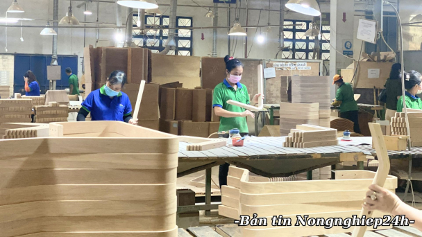 Nhãn hiệu chứng nhận ‘Gỗ Việt Nam’ - Lời cam kết nguồn gốc gỗ hợp pháp