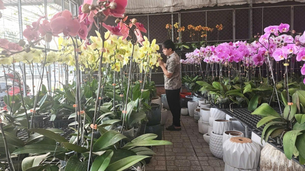 TP.HCM đưa công nghệ sinh học trở thành ngành mũi nhọn