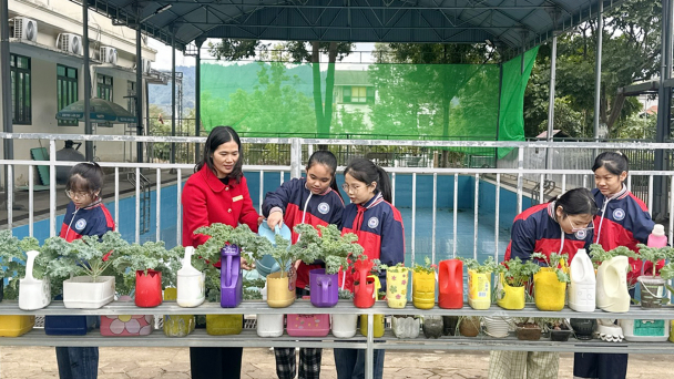 Gieo mầm xanh từ trường học: [Bài 1]Trường học xanh bắt đầu từ điều giản dị