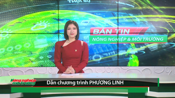 Bản tin truyền hình Nông nghiệp và Môi trường số 3/2026 (số 442)
