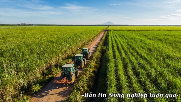 Nông nghiệp và Môi trường triển khai 9 nhiệm vụ trọng tâm cho năm 2026