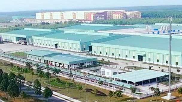 Đồng Nai xử phạt một doanh nghiệp 115 triệu đồng