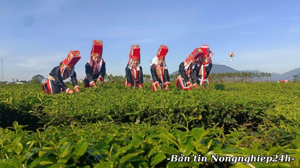 Thêm 40 sản phẩm OCOP 5 sao, nâng tầm giá trị nông sản Việt