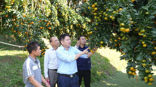 Bắc Ninh: Hơn 7.466 tỷ đồng vốn vay đến tay nông dân