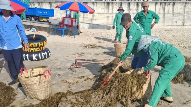 Bài toán rác thải vùng biển Vũng Tàu: [Bài 3] Cần phối hợp đồng bộ