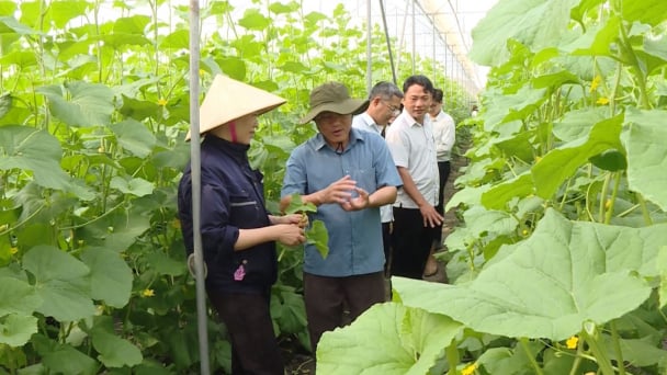 Giữ trái ngọt với phương châm ‘phòng là chính’