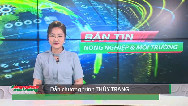 Bản tin Truyền hình Nông nghiệp và Môi trường số 20/2026 (Số 459)
