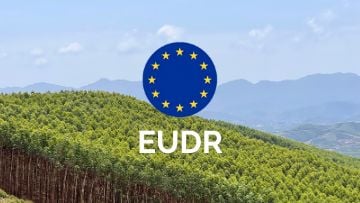 EU lùi thời điểm thực thi EUDR hỗ trợ doanh nghiệp nhỏ thích ứng