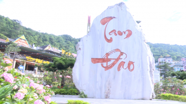 Tam Đảo chào hè 2026 với thông điệp du lịch xanh và bền vững
