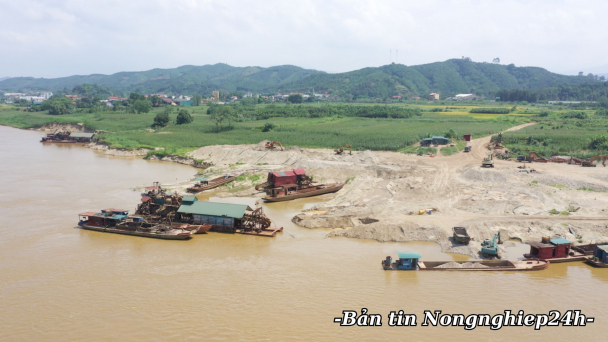 Hơn 12.000 vụ vi phạm hành lang bảo vệ đê điều, bãi sông được phát hiện