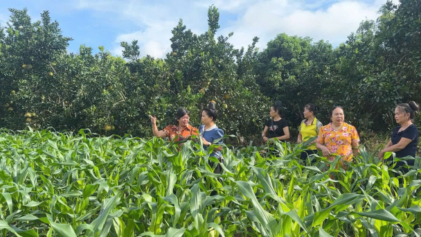 Đưa kiến thức phòng, chống thiên tai đến hội viên phụ nữ