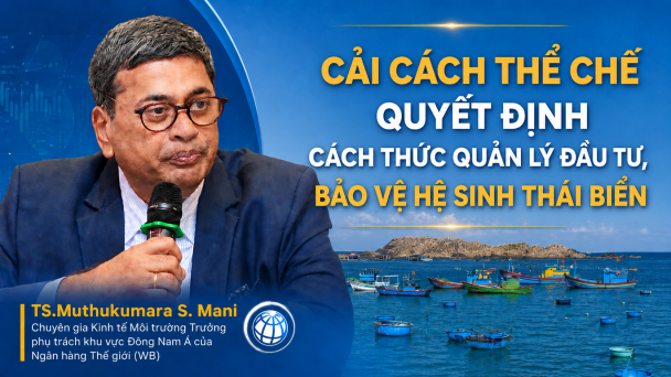 Cải cách thể chế quyết định cách thức quản lý đầu tư, bảo vệ hệ sinh thái biển