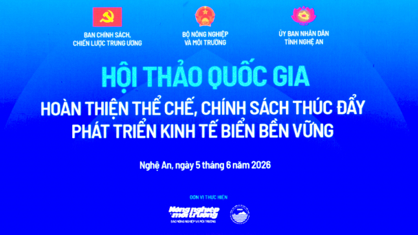 Hoàn thiện thể chế, chính sách thúc đẩy phát triển kinh tế biển bền vững