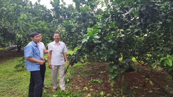 Tri thức khoa học mở đường cho nông dân phát triển bền vững