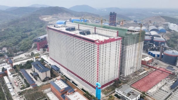 Hà Nội nghiên cứu xây tổ hợp 'chung cư' nuôi lợn tại 3 xã