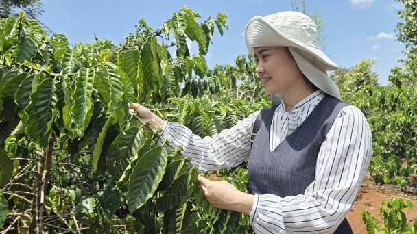 Khoa học công nghệ mở đường cho nông nghiệp giảm phát thải