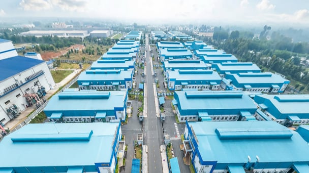 Thành phố Đồng Nai xử phạt 3 doanh nghiệp 255 triệu đồng