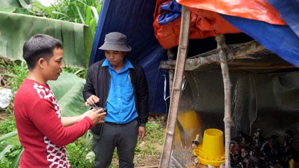 Hội Nông dân đồng hành cùng hội viên phát triển kinh tế