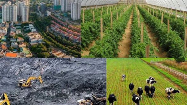 Tinh gọn hệ thống pháp luật ngành Nông nghiệp và Môi trường