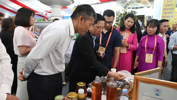 Khơi thông đầu ra cho nông sản Điện Biên